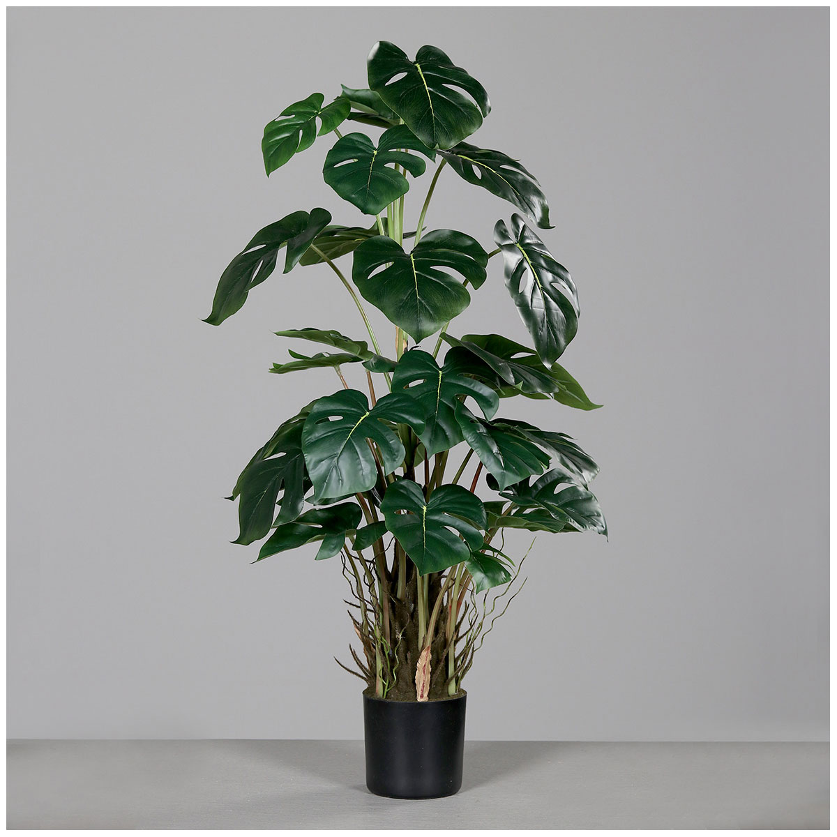 Monstera Kunststofftopf schwarz 82 cm | 110157