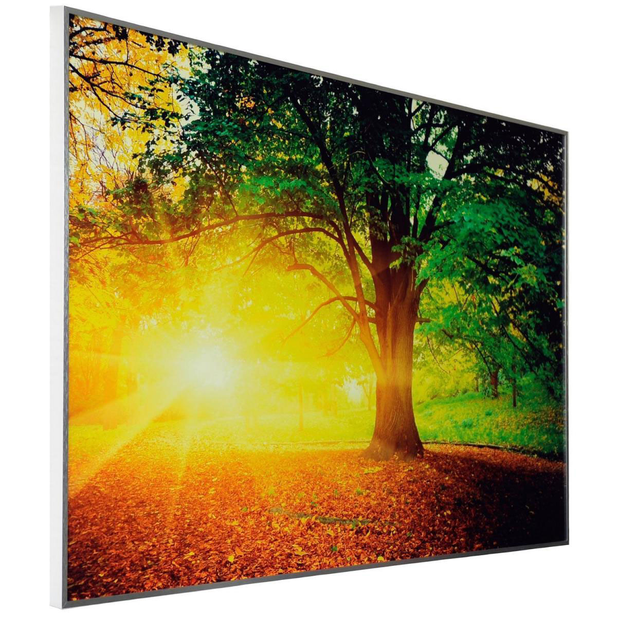 Papermoon Bildinfrarot-Heizkörper 60 x 100 cm Wald Alurahmen | 215592