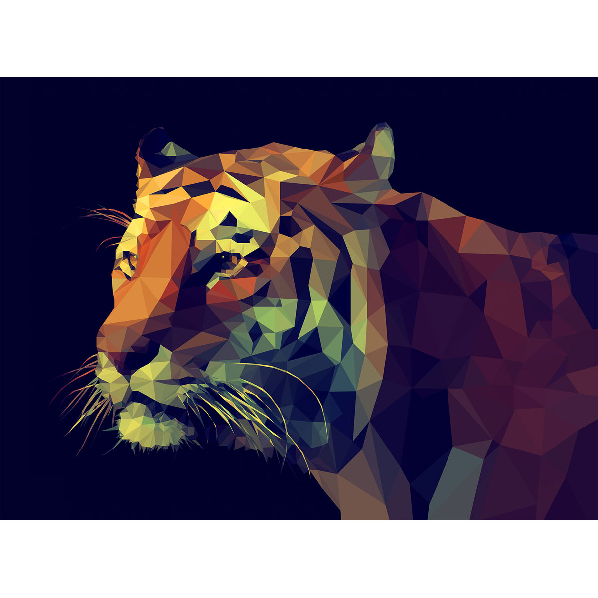 Canvas-Art Colourful Tiger 90 x 120 cm | 237910