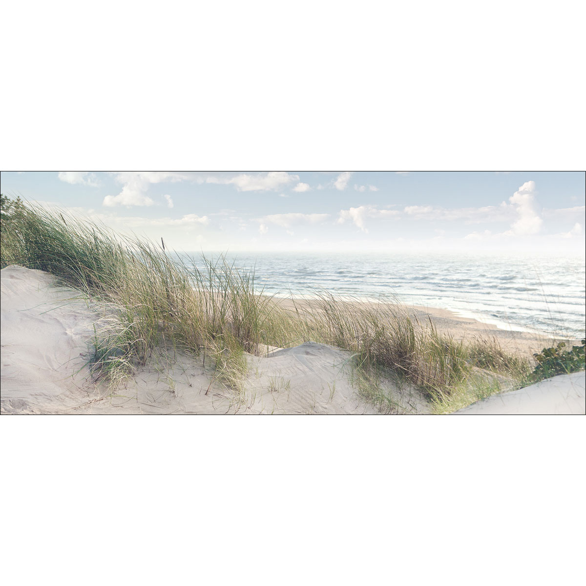 Decopanel Baltic Sea Coast 50 x 120 cm | 237917