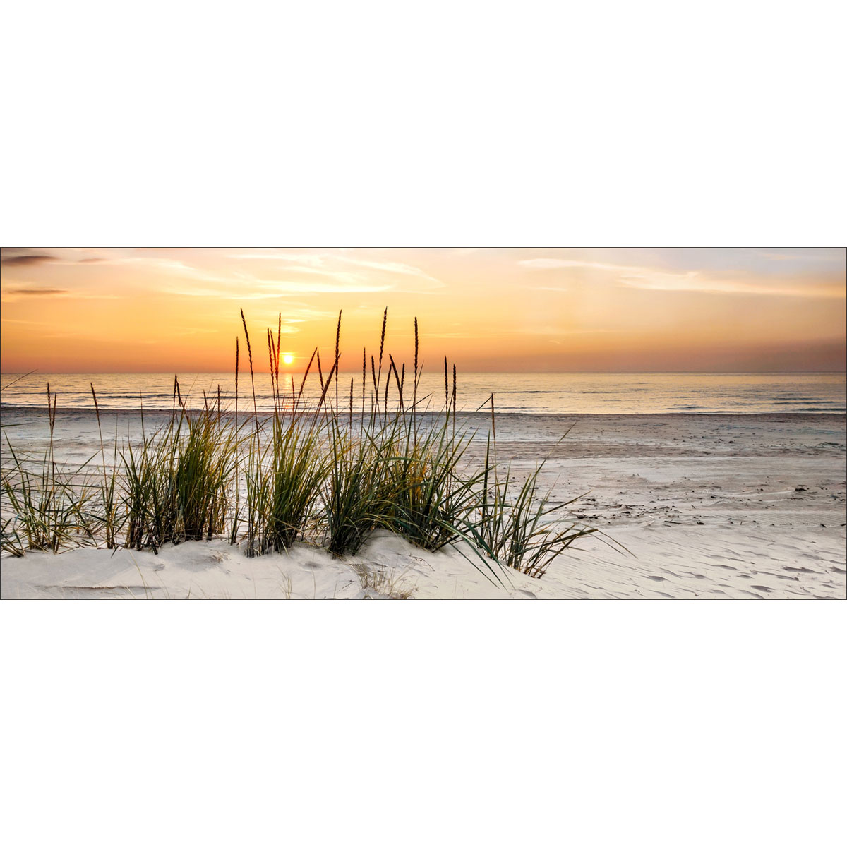 Decopanel Lonely Dune 50 x 120 cm | 237918