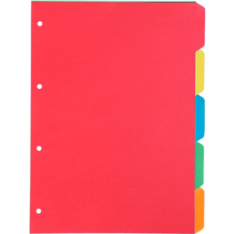 Kartonregister Schäfer Shop Select, 1er Pack, 4-fach Lochung, 160 g/qm Recyclingkarton, 5-teilig